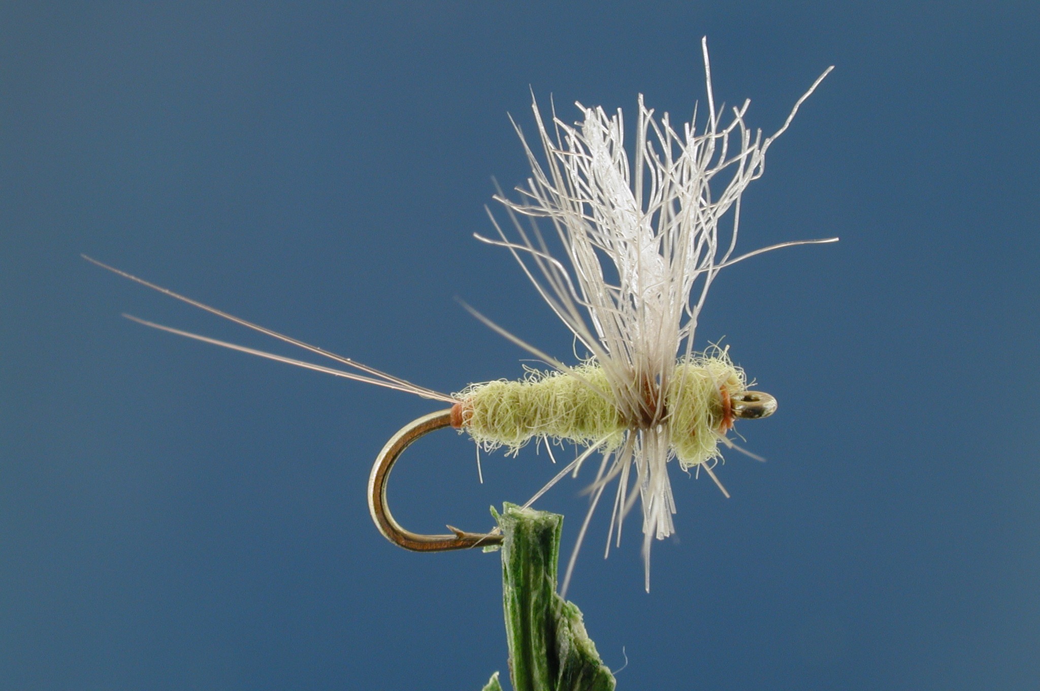 Pale Morning Dun Fly Fishing Flies with Fish4Flies Worldwide